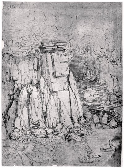 Estudio de una caverna rocosa con patos, 1482-1485 de Leonardo da Vinci