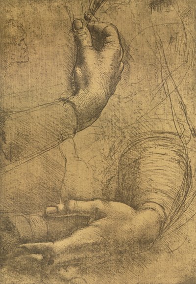 Estudio de manos femeninas, c. 1472-c. 1519 1883 de Leonardo da Vinci