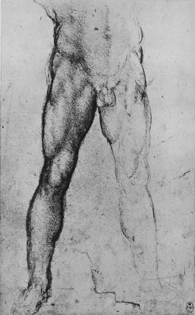 Estudio de la mitad inferior de un hombre desnudo de frente, c1480 (detalle) de Leonardo da Vinci