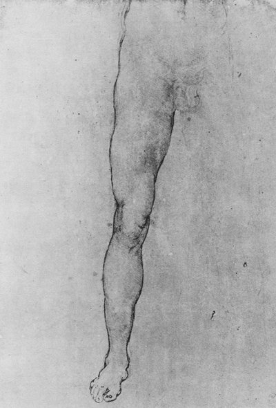 Estudio de la mitad inferior de un hombre desnudo de frente, c1480 1945 de Leonardo da Vinci