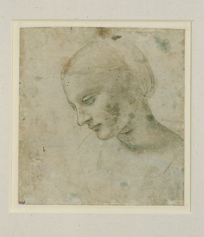 Cabeza de mujer casi de perfil ... de Leonardo da Vinci