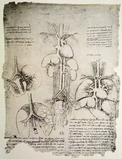 El corazón y la circulación, facsímil del libro de Windsor de Leonardo da Vinci