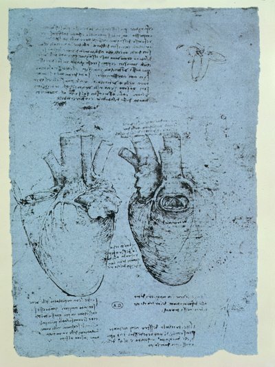 El corazón, facsímil del libro de Windsor de Leonardo da Vinci