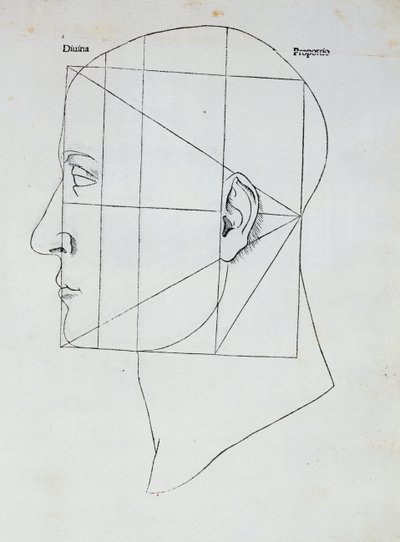 La Cabeza Humana, ilustración para 