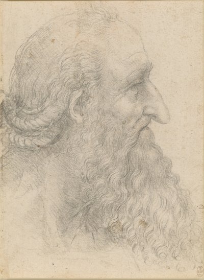 La cabeza de un anciano con barba, ca 1517 de Leonardo da Vinci