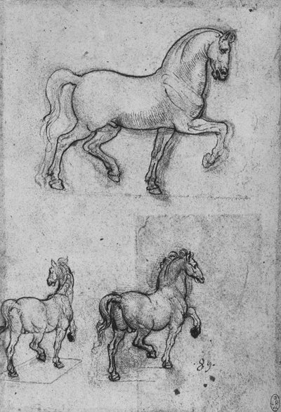 Tres estudios de caballos, c1480-1945 de Leonardo da Vinci
