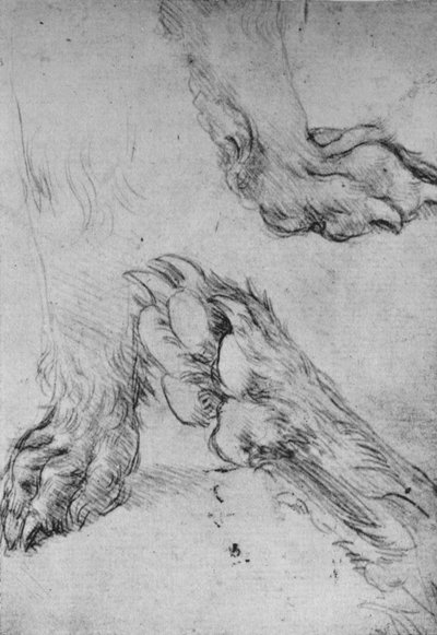 Tres estudios de las patas de un perro o lobo, c. 1480 de Leonardo da Vinci