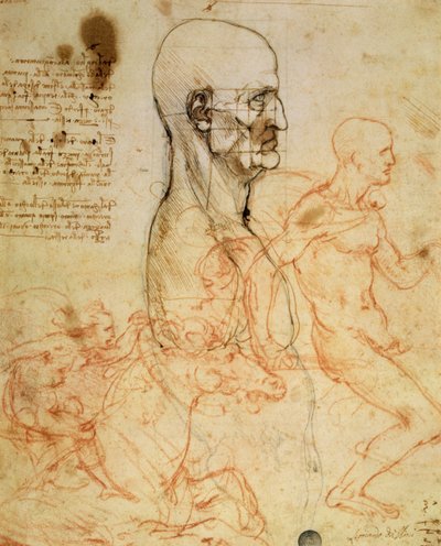 Torso de un hombre de perfil, la cabeza cuadrada para la proporción, y bocetos de dos jinetes, c.1490 y c.1504 de Leonardo da Vinci