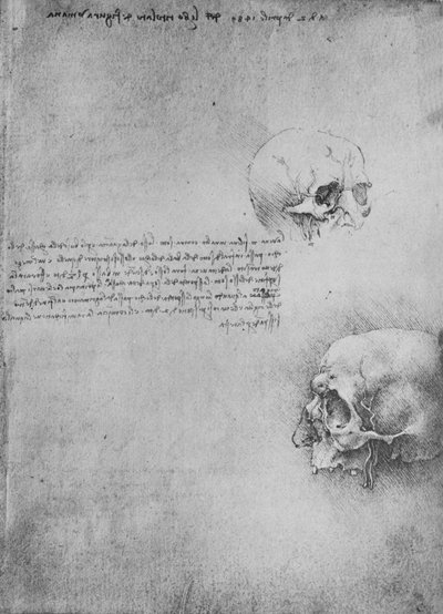 Dos dibujos de la estructura ósea de la cabeza, c1480 de Leonardo da Vinci