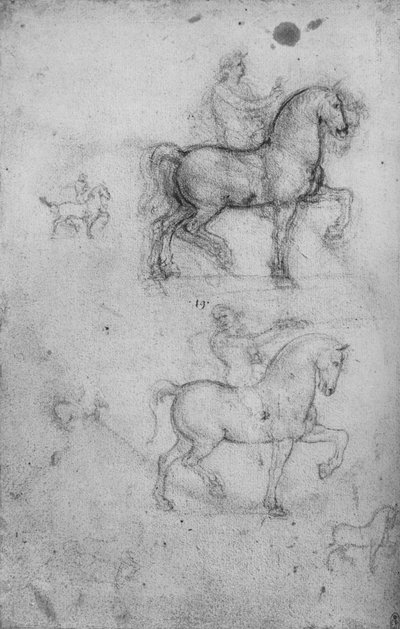 Dos estudios de caballos y jinetes y estudios más pequeños de caballos, c1480 1945 de Leonardo da Vinci