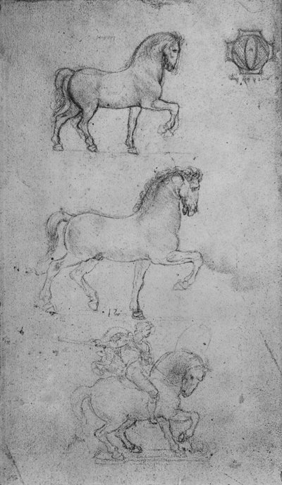 Dos estudios de un caballo y uno de un caballo y jinete de Leonardo da Vinci