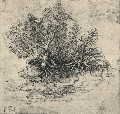 Dos Árboles en la Orilla de un Arroyo, c1480 1945 de Leonardo da Vinci
