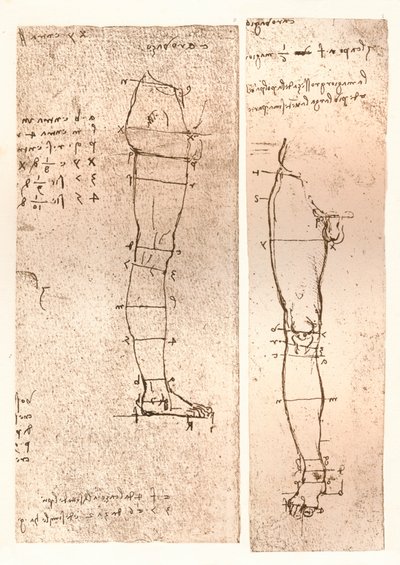 Dos dibujos que ilustran la teoría de las proporciones de la figura humana, c1472-c1519 1883 de Leonardo da Vinci