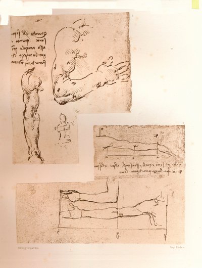Dos dibujos que ilustran la teoría de las proporciones de la figura humana, c1472-c1519, 1883 de Leonardo da Vinci