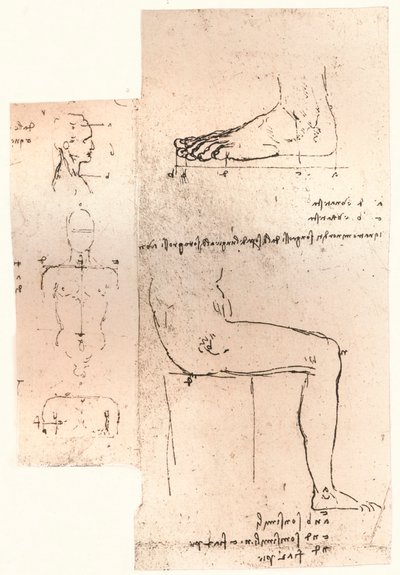Dos dibujos que ilustran la teoría de las proporciones de la figura humana, c1472-c1519 1883 de Leonardo da Vinci