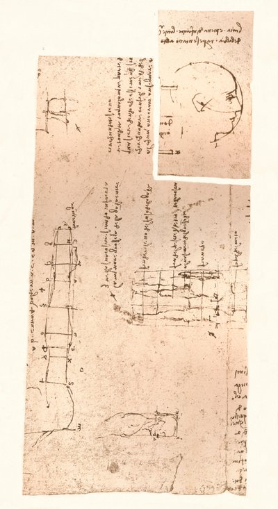 Dos dibujos que ilustran la teoría de las proporciones de la figura humana, c1472-c1519 1883 de Leonardo da Vinci