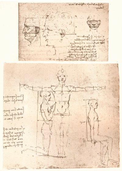 Dos dibujos que ilustran la teoría de las proporciones de la figura humana, c. 1472-c. 1519, 1883 de Leonardo da Vinci