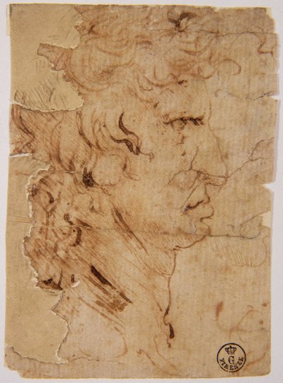Imagen desconocida de Leonardo da Vinci