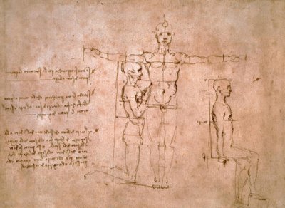 Estudios comparativos de proporciones de Leonardo da Vinci