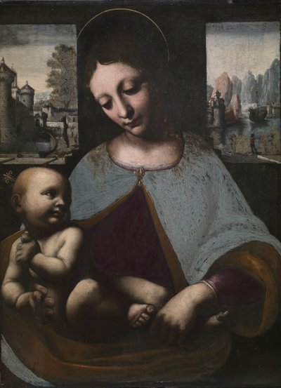 Virgen y Niño, c. 1500 de Leonardo da Vinci