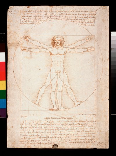 Hombre de Vitruvio de Leonardo da Vinci