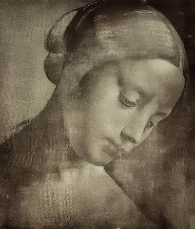 Cabeza femenina, c1470-1519 de Leonardo da Vinci