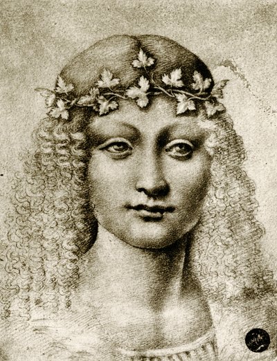 Cabeza de una niña con corona de vid de Leonardo da school of Vinci