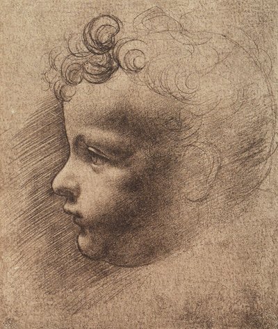 Cabeza de un niño pequeño de Leonardo da school of Vinci
