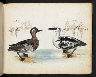 Añadir MS 6485 de Leonhard Baldner