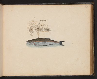 "Descripción natural exacta y descripción de las aves acuáticas, peces, cuadrúpedos, insectos y gusanos que se encuentran en las aguas de Estrasburgo, que yo mismo he cazado y manipulado. Leonard Baldner, pescador y ciudadano de Estrasburgo", c de Leonhard Baldner