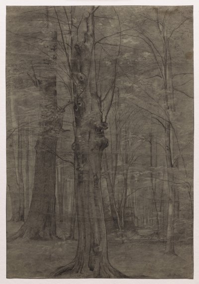 Trees de Leopold Bode