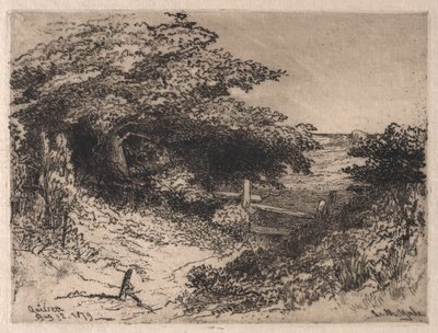 Quissett, Condado de Barnstable, Massachusetts, 1879 de Leroy Milton Yale