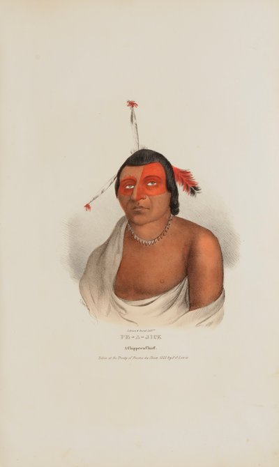 PE-A-JICK; Un Jefe Chippewa, de The Aboriginal Portfolio de Lewis, James Otto