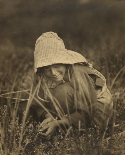 Recolector de arándanos, Nueva Jersey de Lewis W. Hine