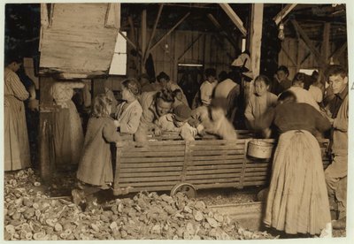 Bill May, de 5 años que gana 15 centavos al día, en el cobertizo de descascarado en Barataria Canning Company, Biloxi, Mississippi, 1911 de Lewis Wickes Hine