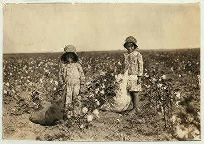 Jewel y Harold Walker, de 6 y 5 años, recogen 20 a 25 libras de algodón al día en Geronimo, Condado de Comanche, Oklahoma, 1916 de Lewis Wickes Hine