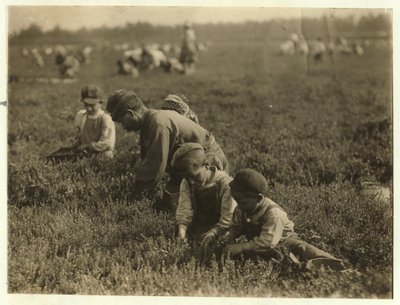 Jo Arnao 3, recogiendo arándanos con su hermano 6 y hermana 9 en Whites Bog, Browns Mills, Nueva Jersey, 1910 de Lewis Wickes Hine