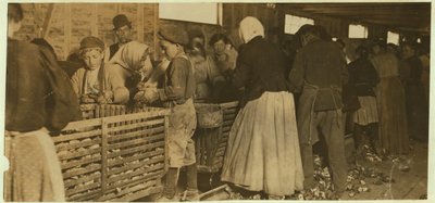 Johnnie, pelador de ostras de 9 años observado por el jefe (con pipa) del cobertizo de pelado en Dunbar, Luisiana, 1911 de Lewis Wickes Hine
