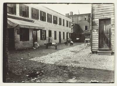 Negro Alley Housing Whites, Washington, D.C. de Lewis Wickes Hine