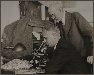  de Lewis Wickes Hine