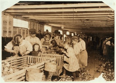 Rosy de 8 años trabaja 14 horas al día como desgranadora de ostras en Dunbar Cannery, Luisiana, 1911 de Lewis Wickes Hine