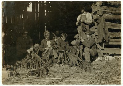 Hijos de J.H. Burch de 12, 14 y 17 años deshojando tabaco durante las horas escolares en el condado de Warren, Rockfield, Kentucky, 1916 de Lewis Wickes Hine