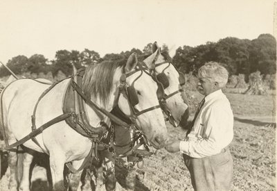 Sin título, ca. 1935 de Lewis Wickes Hine
