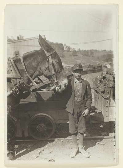 Joven conductor en una mina de carbón de Virginia Occidental de Lewis Wickes Hine