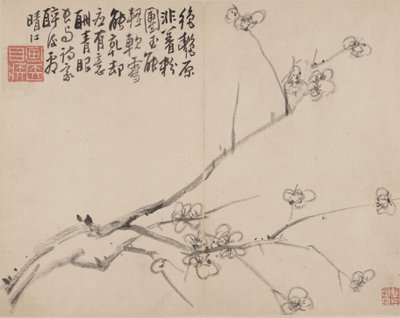 Álbum de ciruelo en flor, 1742 de Li Fangying