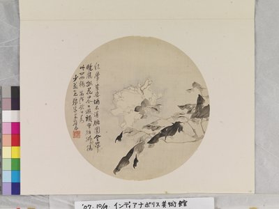 Peonía blanca de Lian Ju