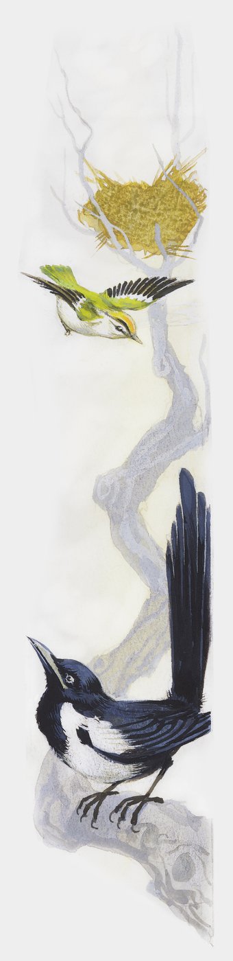 Pájaro construyendo su nido en un árbol, mientras una urraca observa desde una rama más baja, dibujo de Unbekannt Unbekannt