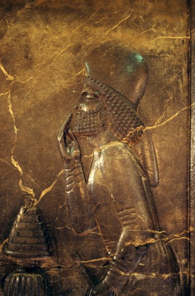 Funcionario Medo rindiendo tributo al Rey Darío I, ca 515 a.C., relieve del Tesoro de Persépolis, Irán de Unbekannt Unbekannt