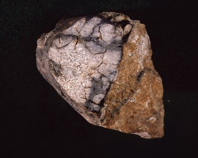 Meteorito encontrado en India en 1875 - Museo de Historia Natural, París de Unbekannt Unbekannt
