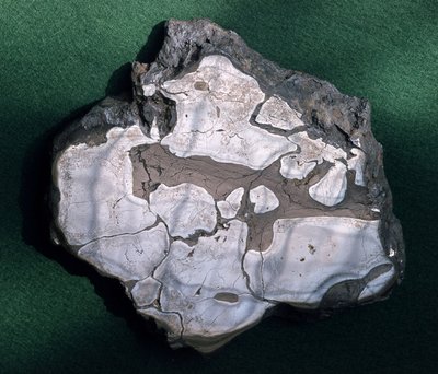 Meteorito, período desconocido - Museo de Historia Natural, París de Unbekannt Unbekannt